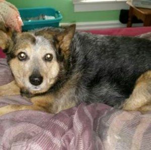 Meet your Posher, Lynn